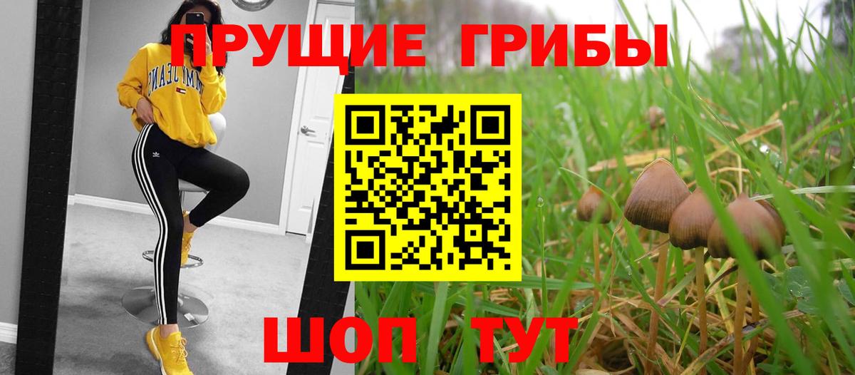 Галлюциногенные грибы GOLDEN TEACHER Дивногорск