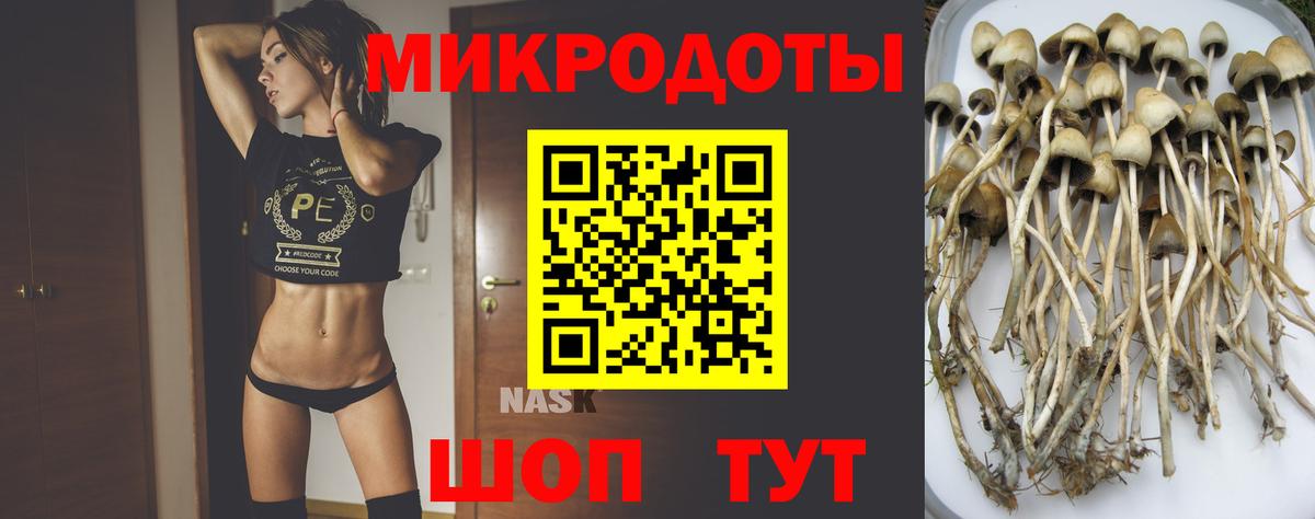 даркнет сайт  Галлюциногенные грибы мицелий  Дивногорск  Вход с VPN  Галлюциногенные грибы мухоморы 